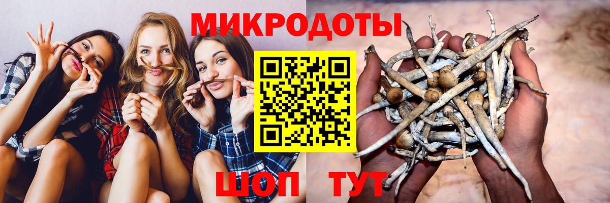 Луга  Галлюциногенные грибы прущие грибы  Вход с VPN  Галлюциногенные грибы Psilocybine cubensis 
