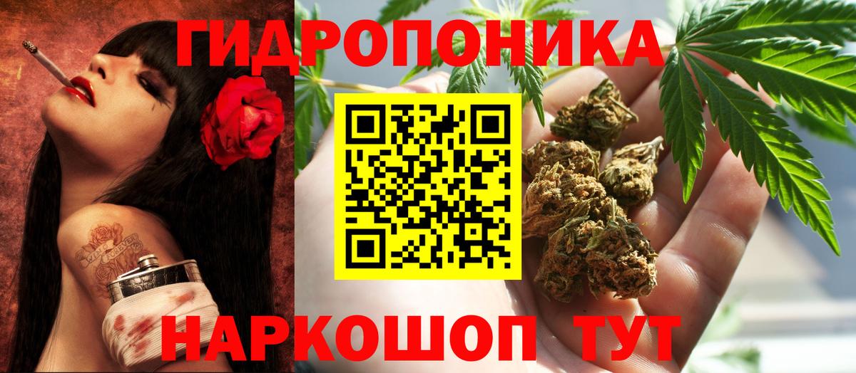 Каннабис Bruce Banner  Вход с VPN  МАРИХУАНА тримм  Луга  Конопля Bruce Banner 